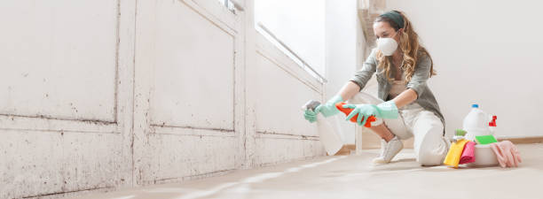 Why You Should Choose Our Mold Remediation Services in Trooper, PA